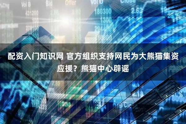 配资入门知识网 官方组织支持网民为大熊猫集资应援？熊猫中心辟谣