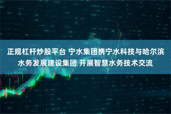 正规杠杆炒股平台 宁水集团携宁水科技与哈尔滨水务发展建设集团 开展智慧水务技术交流