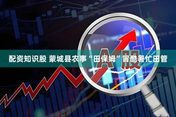 配资知识股 蒙城县农事“田保姆”冒酷暑忙田管