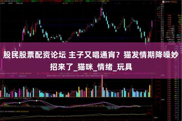 股民股票配资论坛 主子又唱通宵？猫发情期降噪妙招来了_猫咪_情绪_玩具