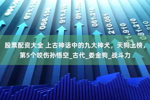 股票配资大全 上古神话中的九大神犬，天狗上榜，第5个咬伤孙悟空_古代_娄金狗_战斗力