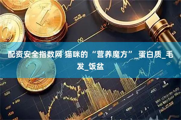 配资安全指数网 猫咪的 “营养魔方”_蛋白质_毛发_饭盆