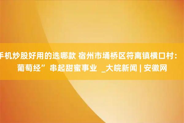 手机炒股好用的选哪款 宿州市埇桥区符离镇横口村:“葡萄经” 串起甜蜜事业 _大皖新闻 | 安徽网